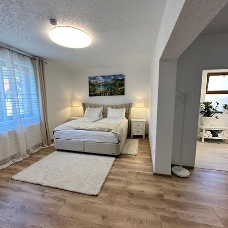 Silvan Villa - Apart Sighişoara Dış mekan fotoğraf