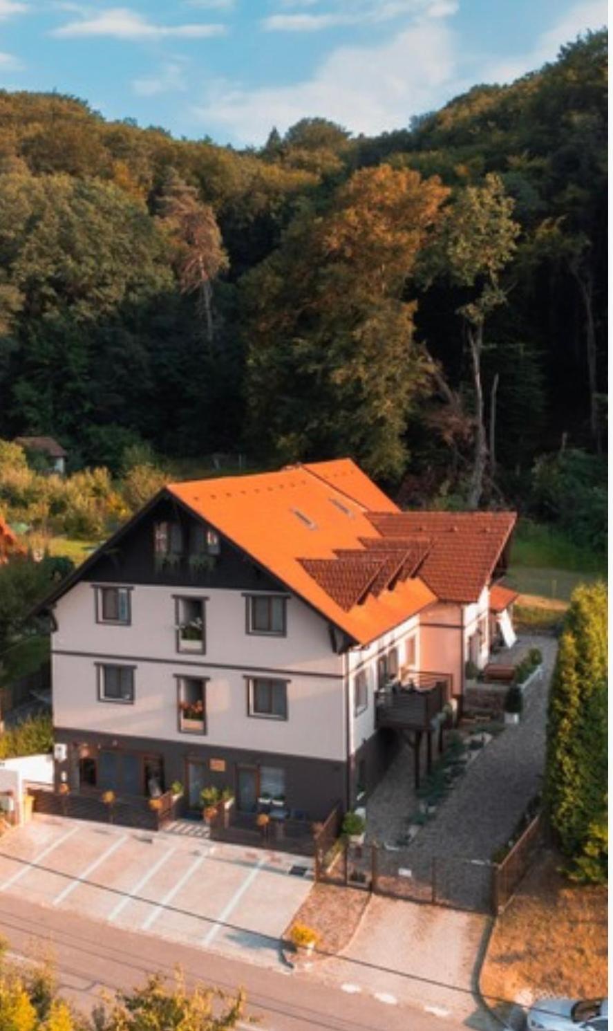 Silvan Villa - Apart Sighişoara Dış mekan fotoğraf